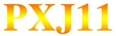 pxj11.com